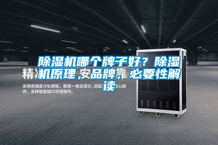 除濕機哪個牌子好？除濕機原理，品牌，必要性解讀