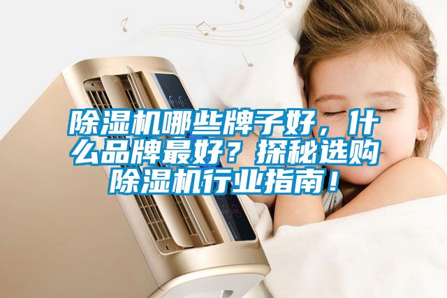 除濕機(jī)哪些牌子好，什么品牌最好？探秘選購(gòu)除濕機(jī)行業(yè)指南！