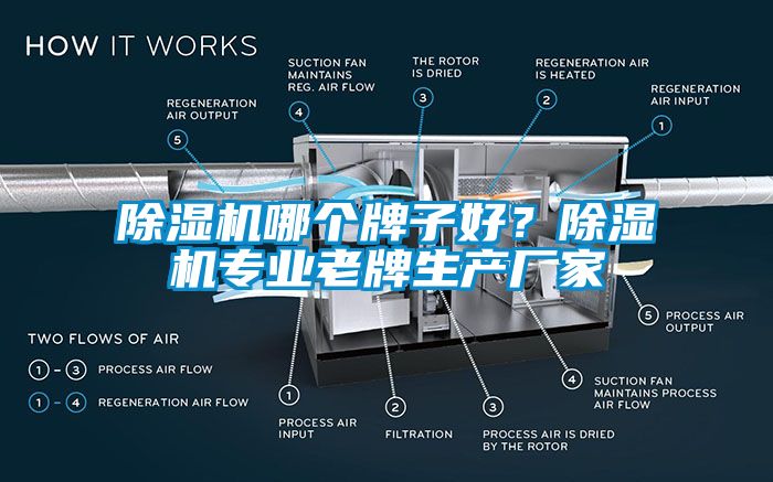 除濕機哪個牌子好？除濕機專業老牌生產廠家