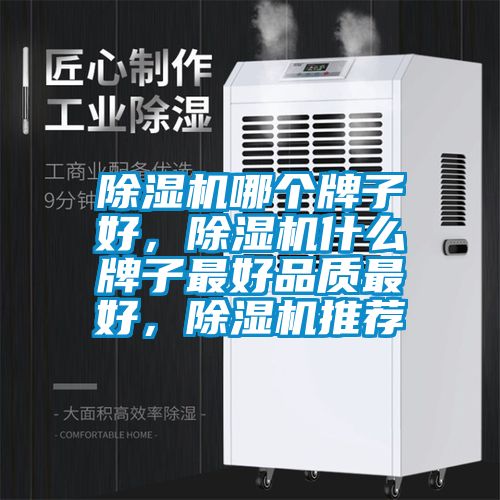 除濕機哪個牌子好，除濕機什么牌子最好品質最好，除濕機推薦