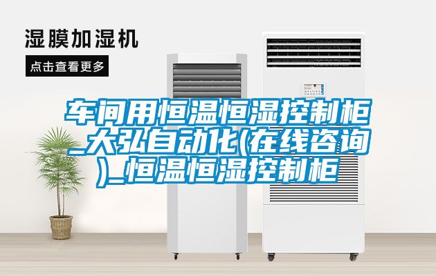 車(chē)間用恒溫恒濕控制柜_大弘自動(dòng)化(在線咨詢(xún))_恒溫恒濕控制柜