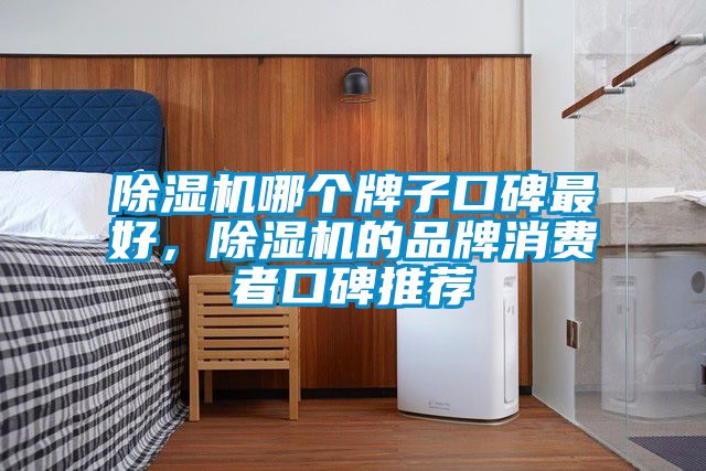 除濕機(jī)哪個(gè)牌子口碑最好，除濕機(jī)的品牌消費(fèi)者口碑推薦
