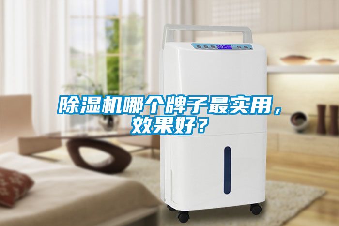 除濕機(jī)哪個(gè)牌子最實(shí)用，效果好？