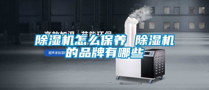 除濕機怎么保養(yǎng) 除濕機的品牌有哪些