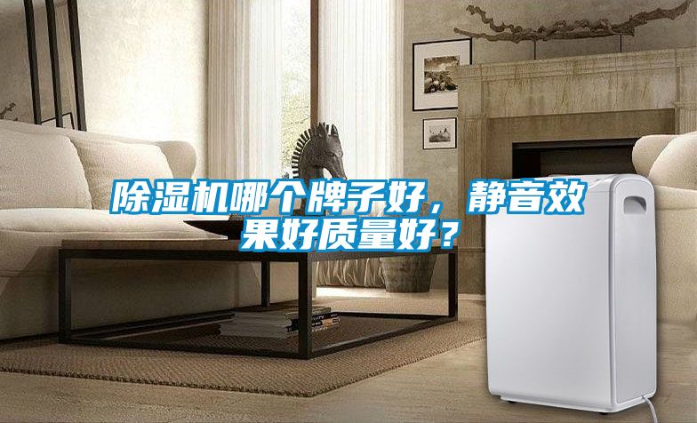 除濕機哪個牌子好，靜音效果好質量好？