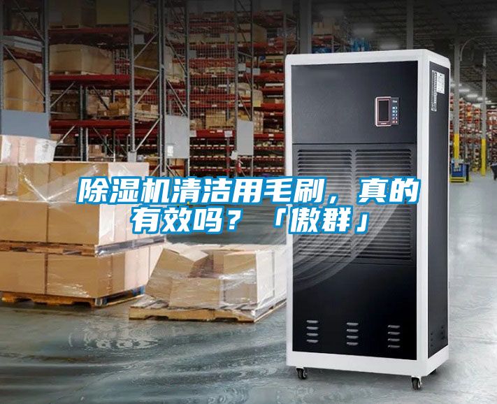 除濕機(jī)清潔用毛刷，真的有效嗎？「傲群」