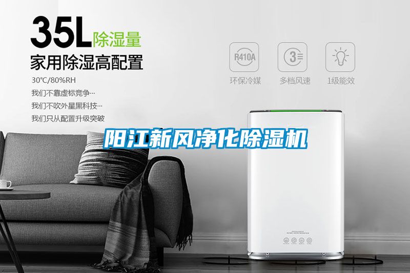 陽(yáng)江新風(fēng)凈化除濕機(jī)