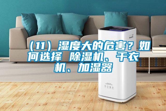 （11）濕度大的危害？如何選擇 除濕機、干衣機、加濕器