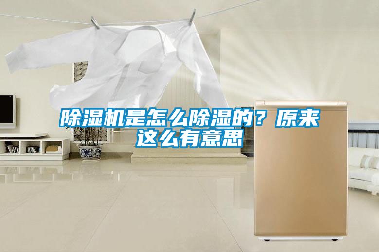 除濕機是怎么除濕的？原來這么有意思