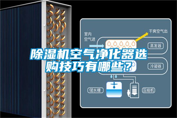 除濕機空氣凈化器選購技巧有哪些？