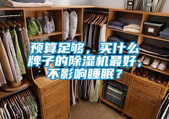 預(yù)算足夠，買(mǎi)什么牌子的除濕機(jī)最好，不影響睡眠？