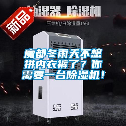 魔都冬雨天不想拼內(nèi)衣褲了？你需要一臺除濕機(jī)！