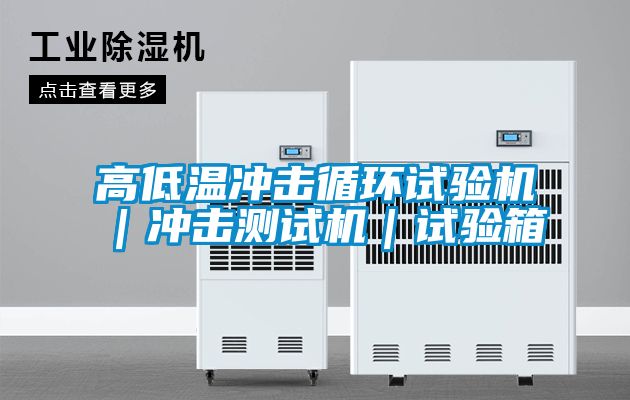 高低溫沖擊循環(huán)試驗機(jī)｜沖擊測試機(jī)｜試驗箱