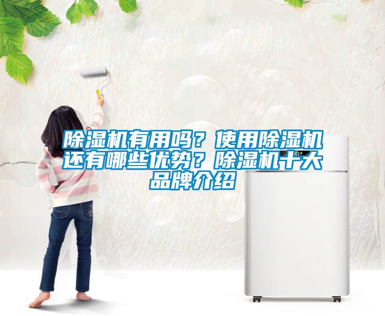 除濕機有用嗎？使用除濕機還有哪些優(yōu)勢？除濕機十大品牌介紹