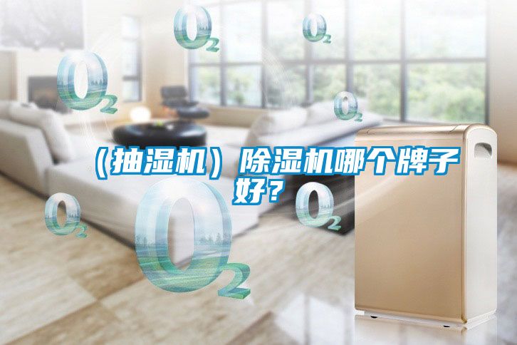 （抽濕機）除濕機哪個牌子好？