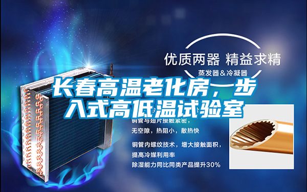 長春高溫老化房，步入式高低溫試驗室