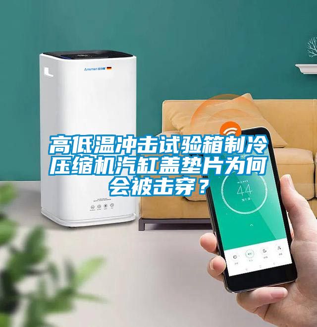 高低溫沖擊試驗箱制冷壓縮機汽缸蓋墊片為何會被擊穿？