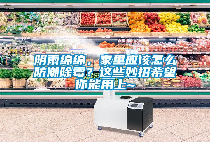 陰雨綿綿，家里應(yīng)該怎么防潮除霉？這些妙招希望你能用上~