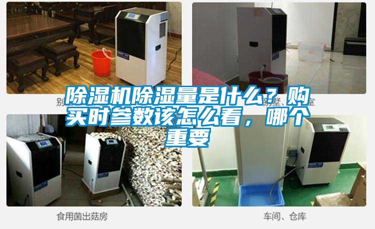 除濕機除濕量是什么？購買時參數該怎么看，哪個重要