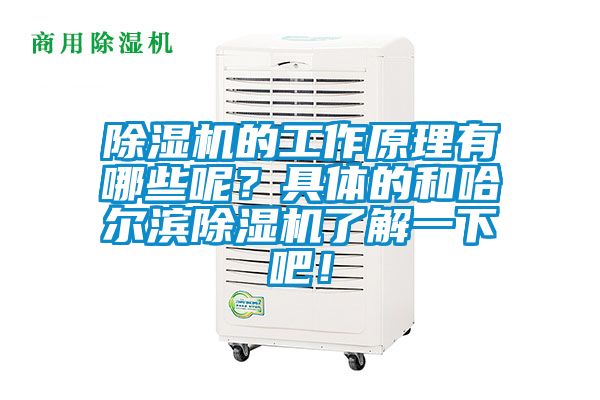 除濕機(jī)的工作原理有哪些呢？具體的和哈爾濱除濕機(jī)了解一下吧！