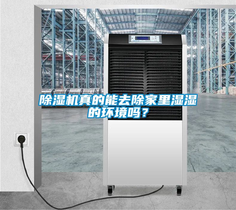 除濕機真的能去除家里濕濕的環境嗎？