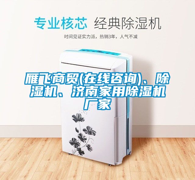 雁飛商貿(在線咨詢)、除濕機、濟南家用除濕機廠家