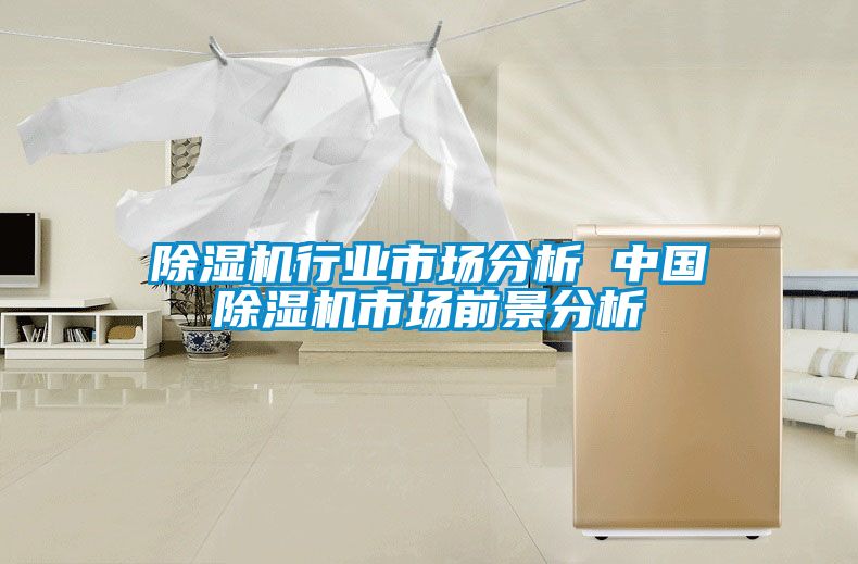 除濕機(jī)行業(yè)市場(chǎng)分析 中國(guó)除濕機(jī)市場(chǎng)前景分析