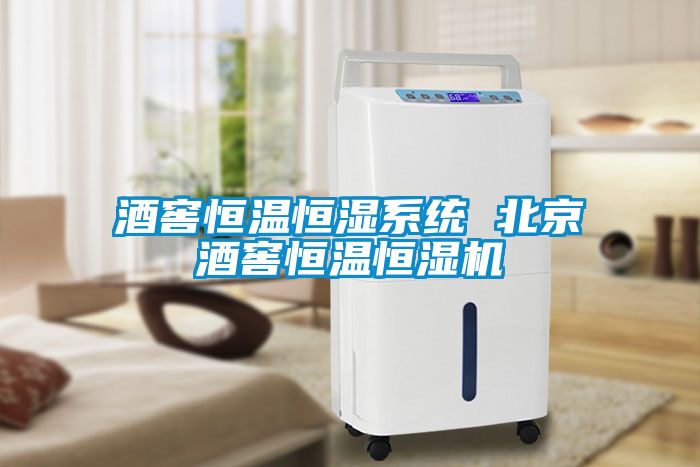 酒窖恒溫恒濕系統 北京酒窖恒溫恒濕機