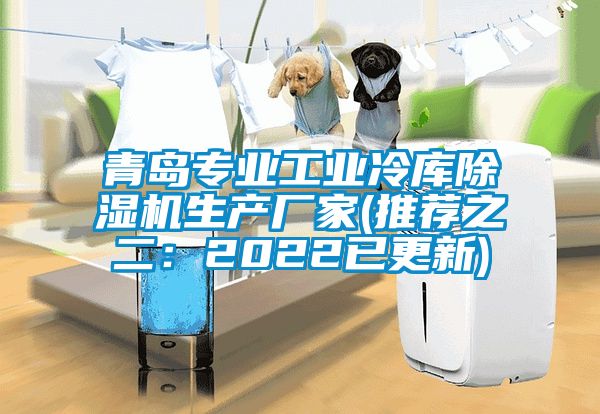 青島專業(yè)工業(yè)冷庫除濕機生產廠家(推薦之二：2022已更新)