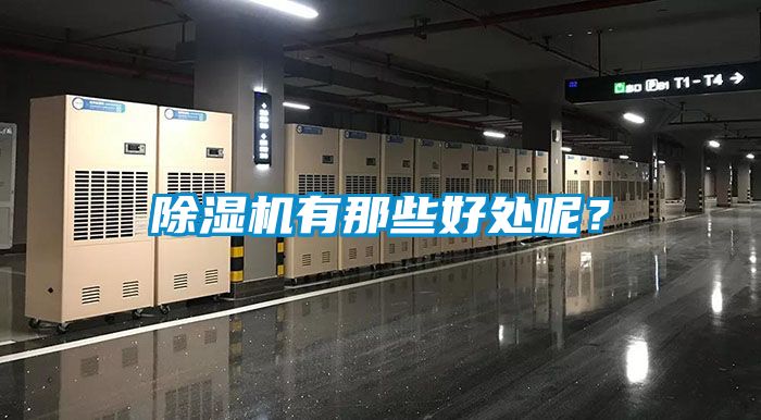 除濕機(jī)有那些好處呢？