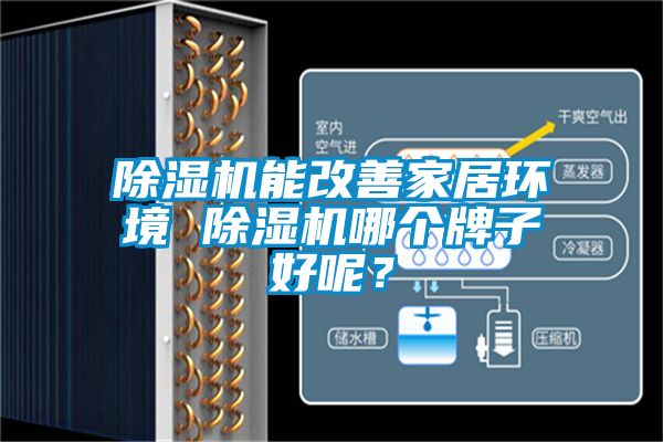 除濕機(jī)能改善家居環(huán)境 除濕機(jī)哪個(gè)牌子好呢？