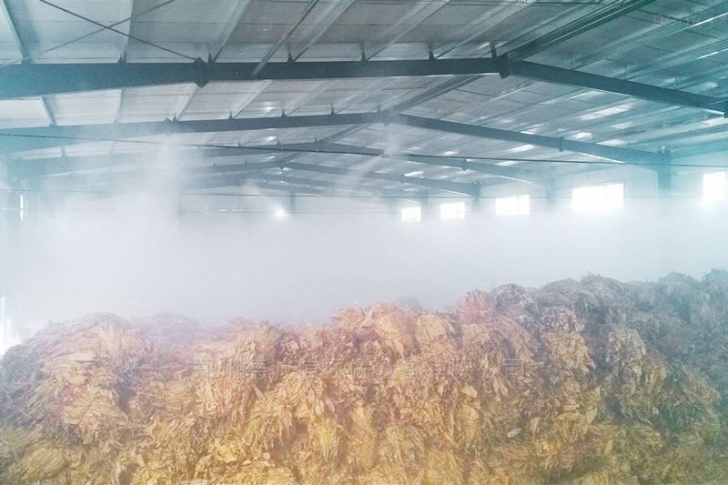 提升煙葉加工質(zhì)量，高效回潮很重要 煙葉除濕機