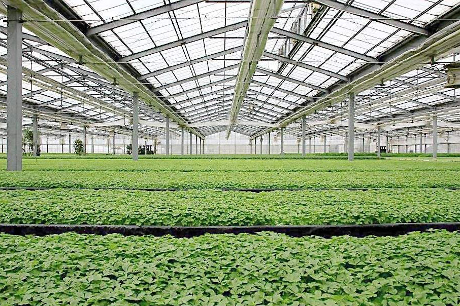除濕器如何解決高濕度、多種危害的溫室除濕問題？